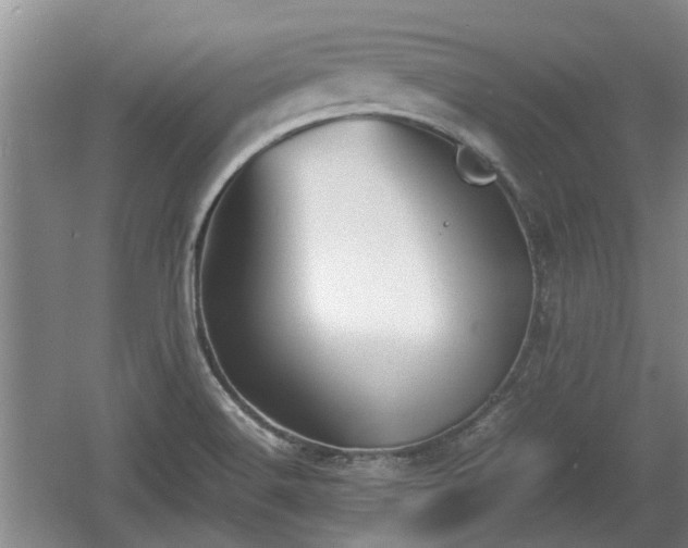 X0000060781516200511141403