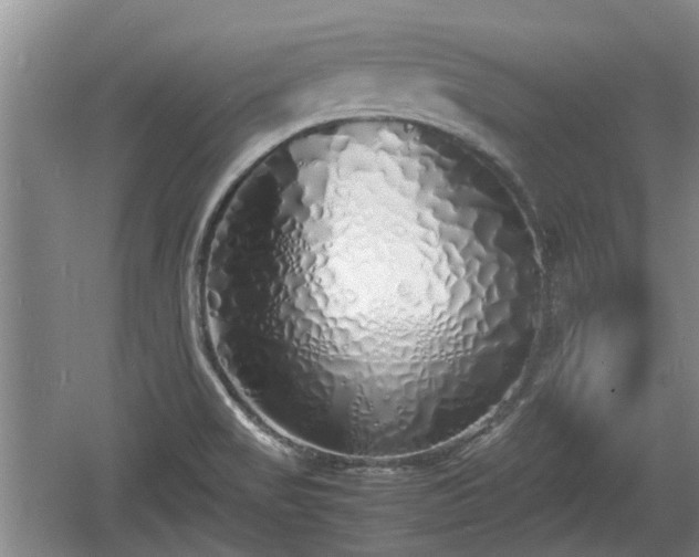 X0000060781517200511141403