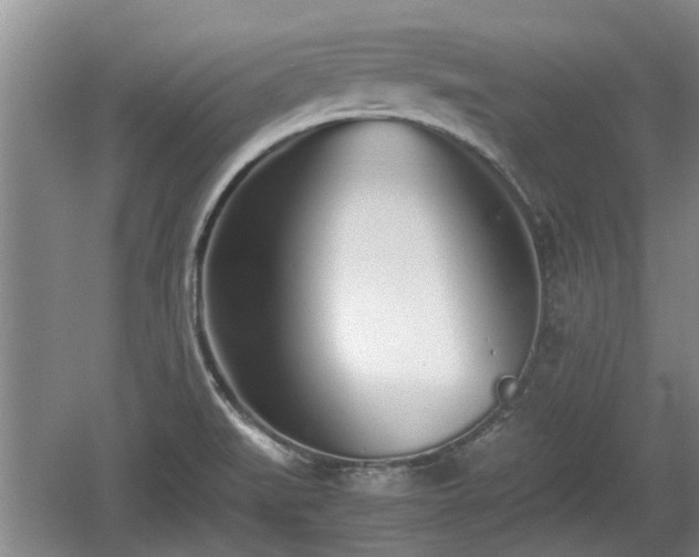 X0000060781519200511141403