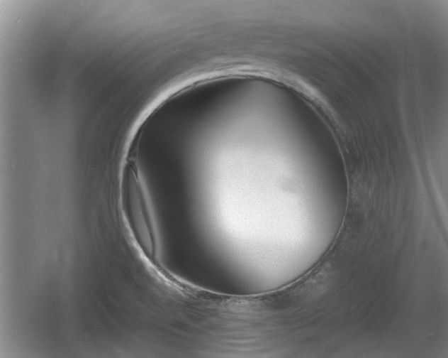 X0000060781520200511141403