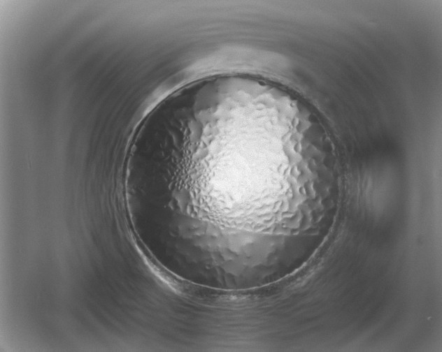 X0000060781521200511141403