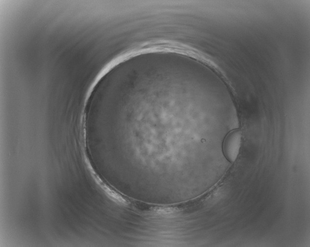 X0000060781522200511141403