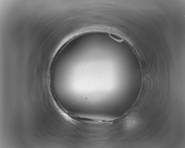 X0000060781523200511141403