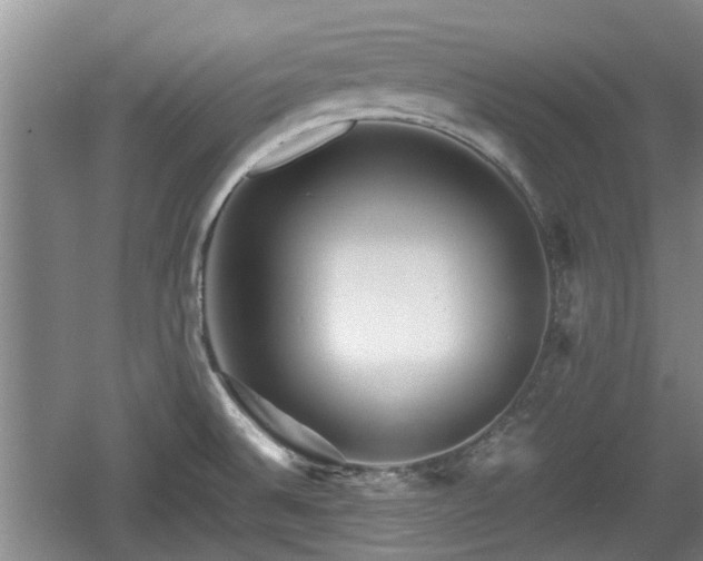 X0000060781524200511141403