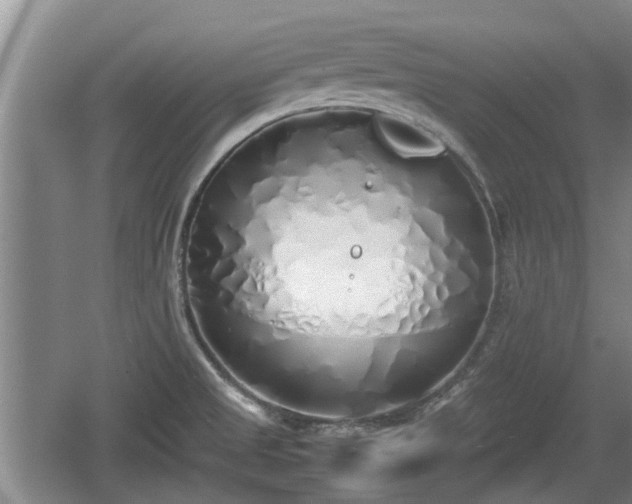 X0000060781525200511141403