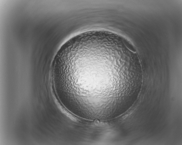 X0000060781526200511141403