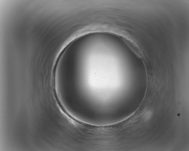 X0000060781527200511141403