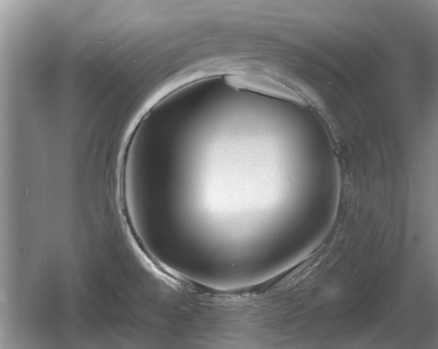 X0000060781528200511141403