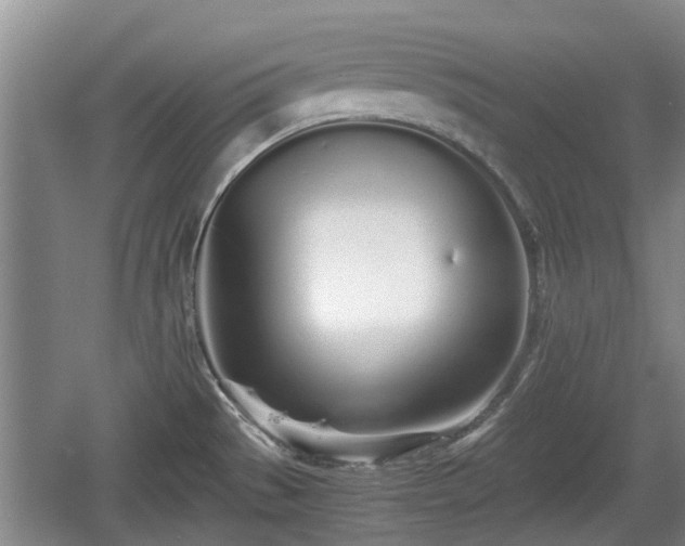 X0000060781529200511141403