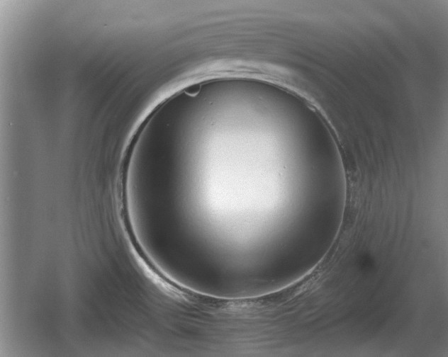 X0000060781531200511141403