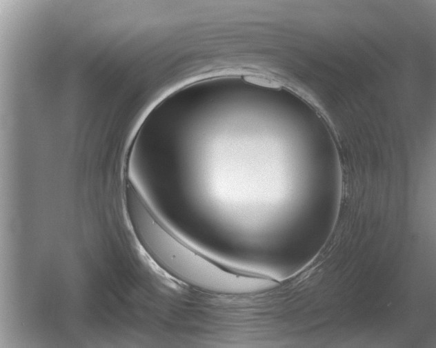 X0000060781532200511141403