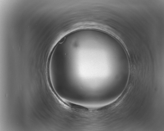 X0000060781533200511141403