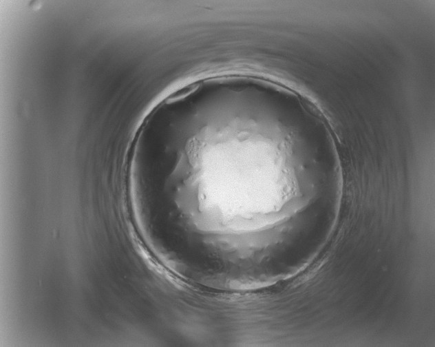 X0000060781534200511141403