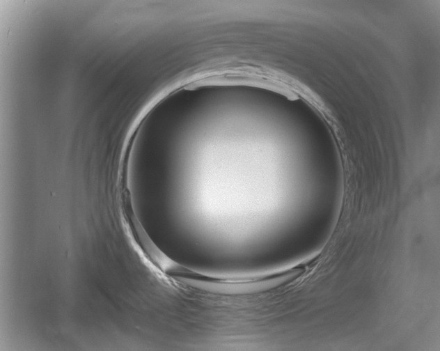 X0000060781536200511141403