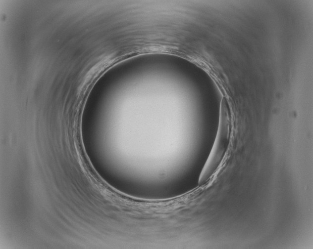 X0000060780001200511171254