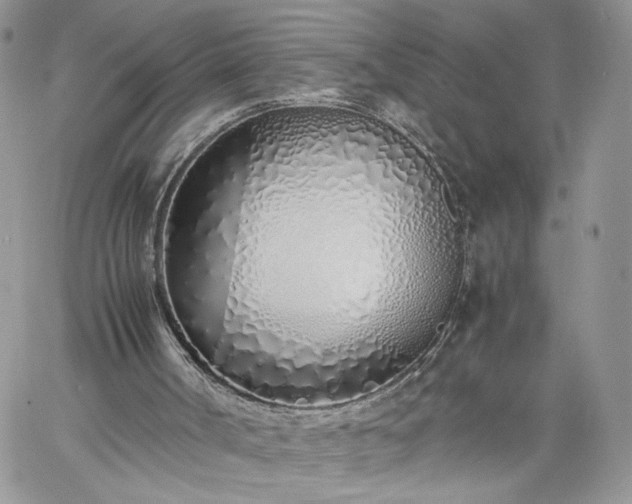 X0000060780002200511171254