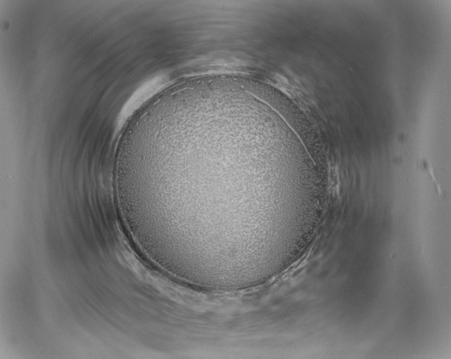 X0000060780004200511171254