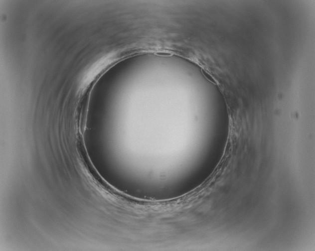 X0000060780005200511171254