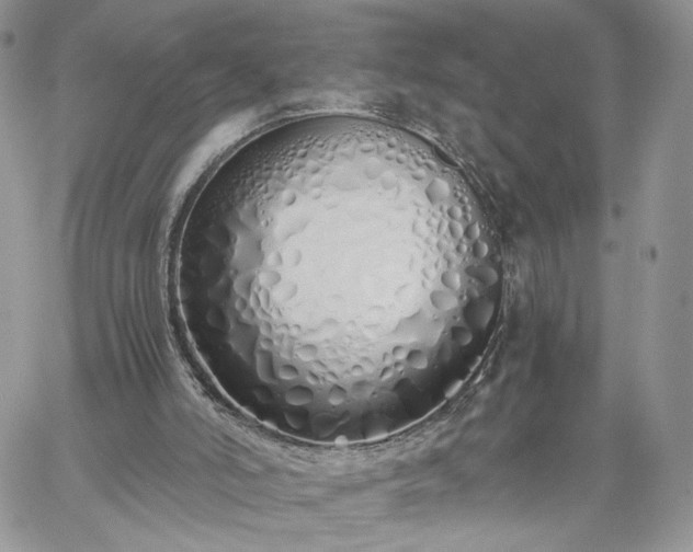 X0000060780006200511171254