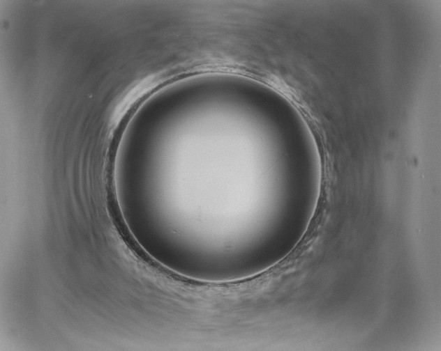 X0000060780007200511171254