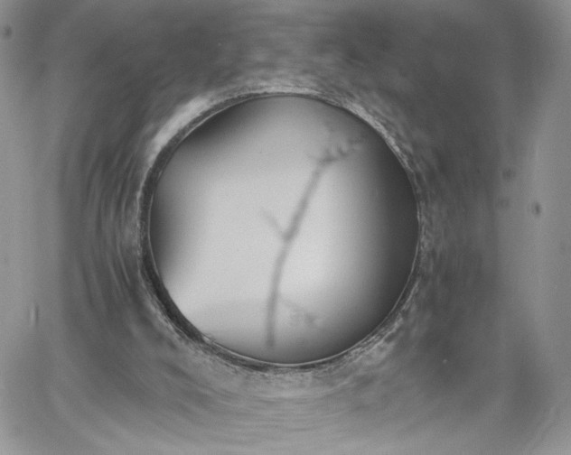 X0000060780008200511171254