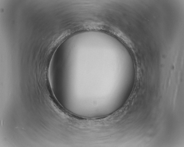 X0000060780009200511171254