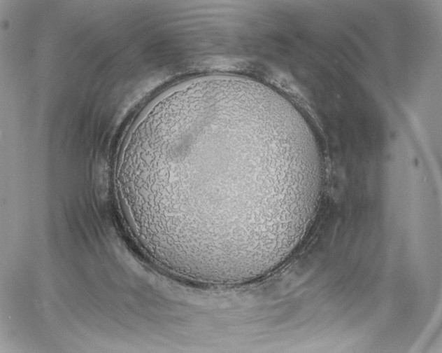 X0000060780012200511171254