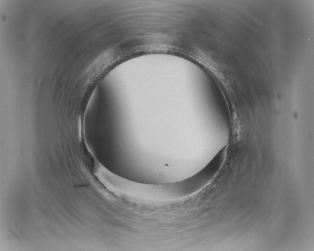 X0000060780013200511171254