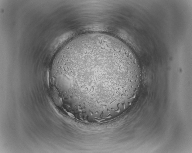 X0000060780014200511171254