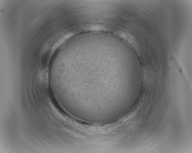 X0000060780016200511171254