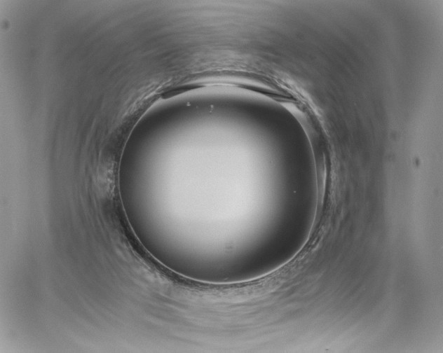 X0000060780017200511171254