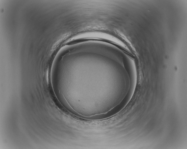 X0000060780019200511171254