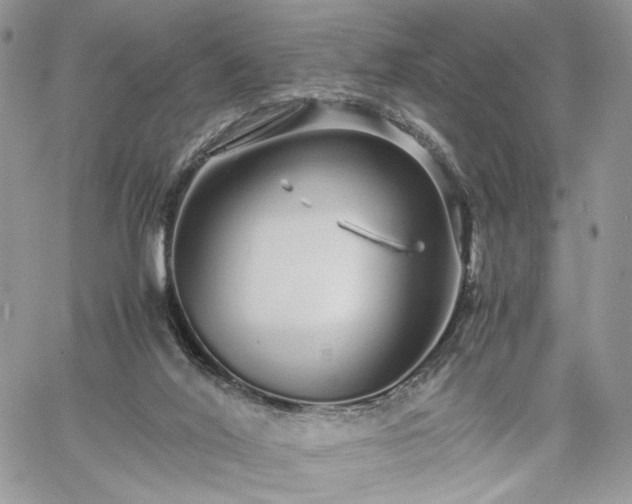 X0000060780020200511171254