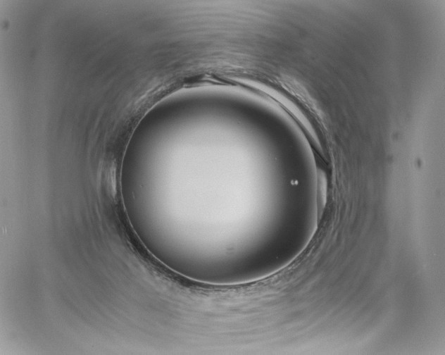 X0000060780021200511171254