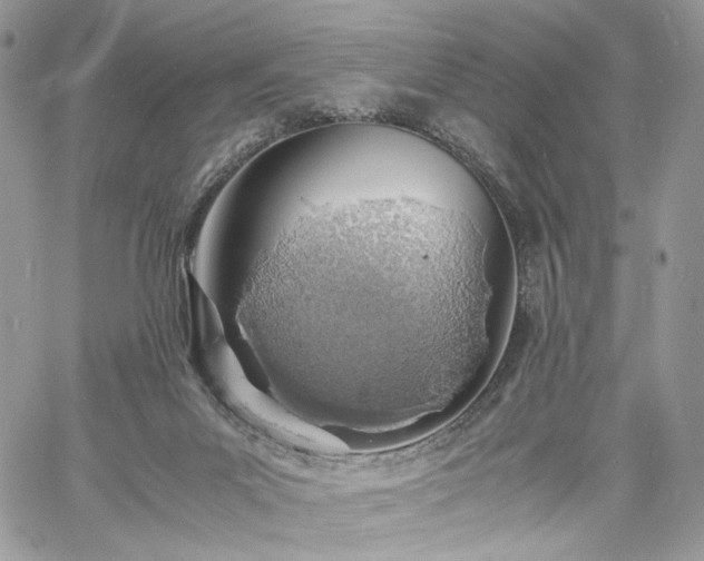 X0000060780023200511171254