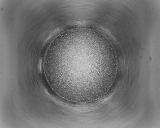 X0000060780024200511171254