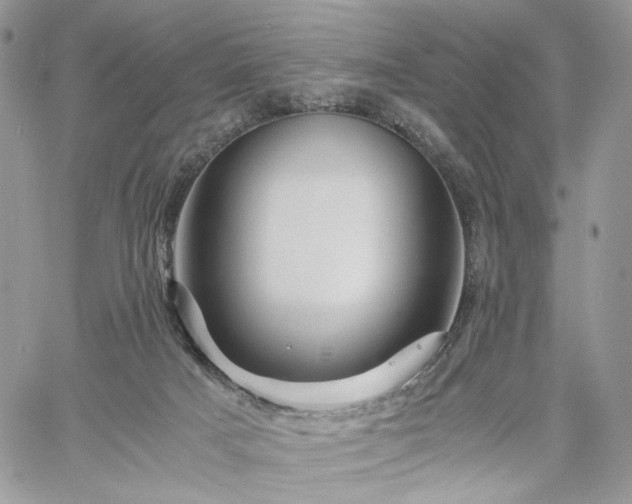 X0000060780025200511171254