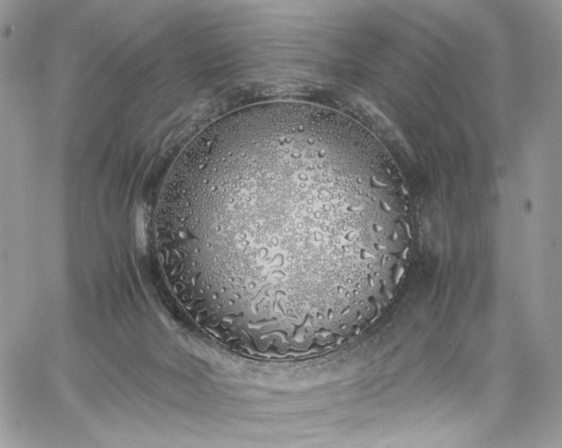 X0000060780026200511171254