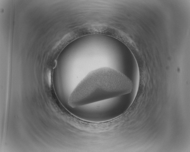 X0000060780027200511171254