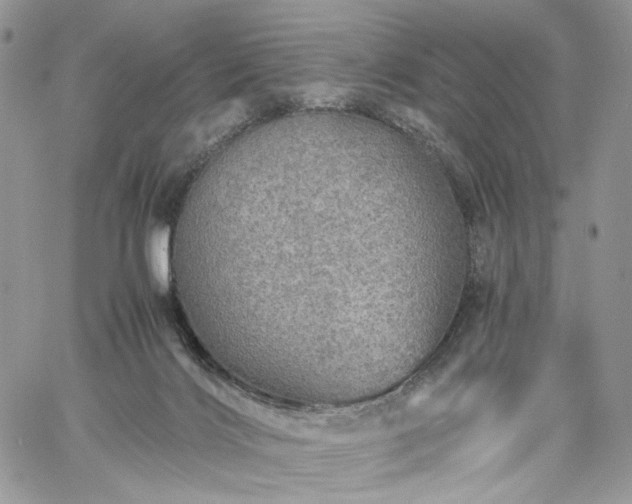 X0000060780028200511171254