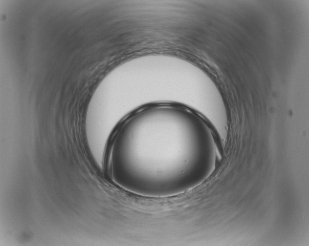 X0000060780029200511171254