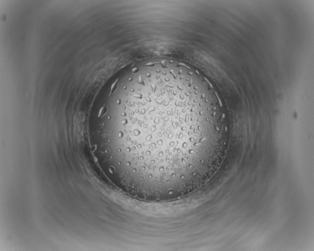 X0000060780030200511171254