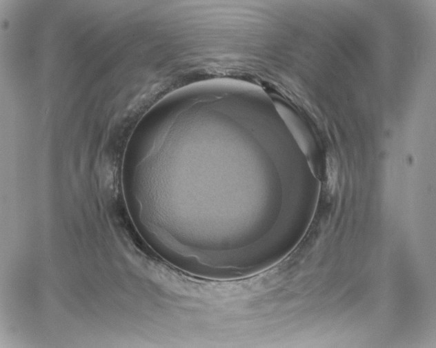 X0000060780031200511171254