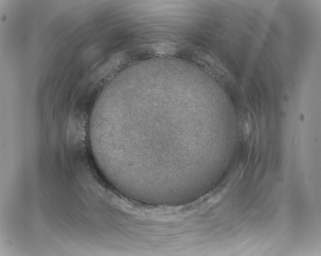 X0000060780032200511171254