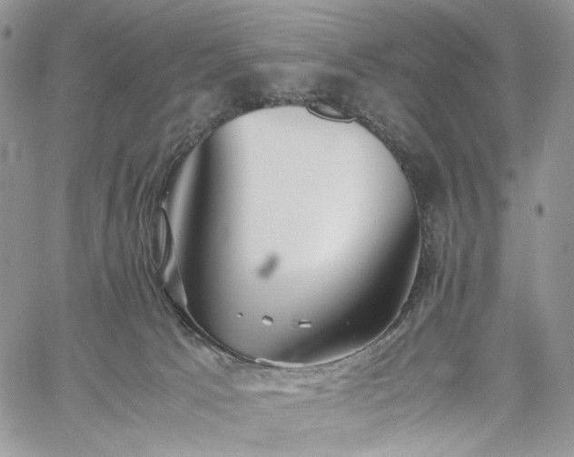 X0000060780033200511171254