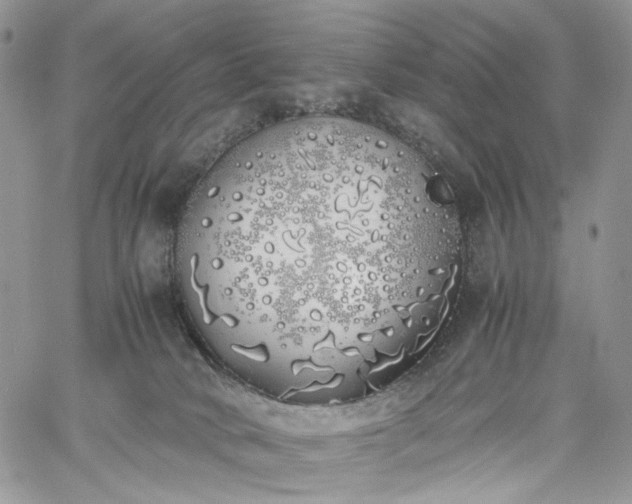 X0000060780034200511171254