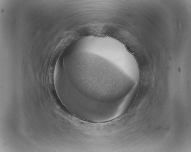 X0000060780035200511171254