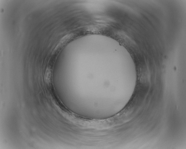 X0000060780036200511171254