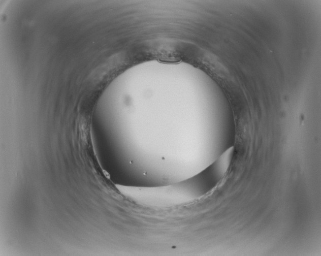 X0000060780037200511171254