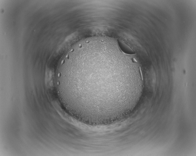 X0000060780038200511171254